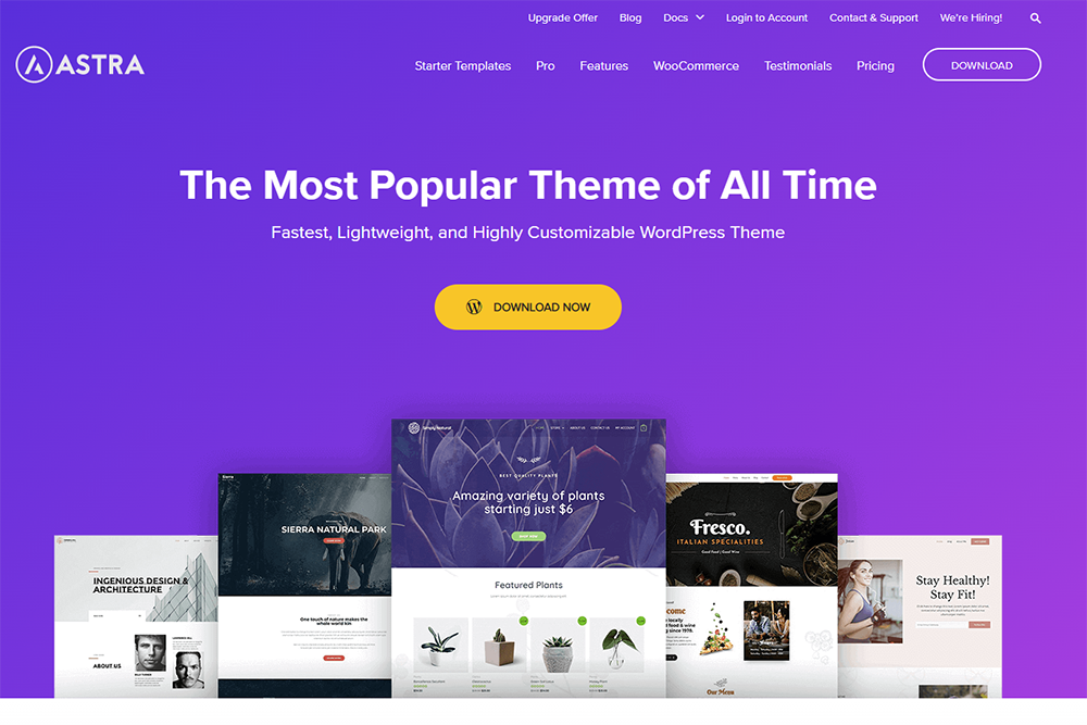 Astra Pro - The Fastest & Most Popular Theme of All Time!