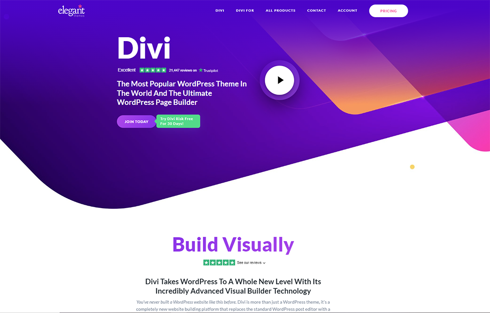 Divi by Elegant Themes - Ultimate WordPress Page Builder